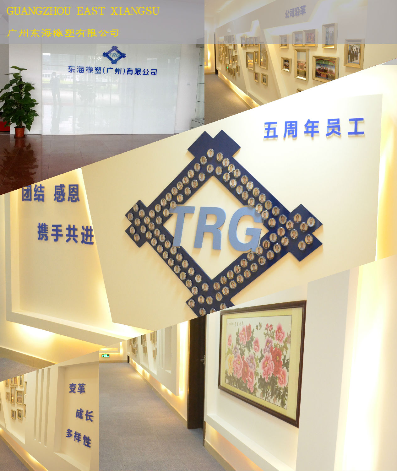 东海办公室午夜视频免费在线.jpg