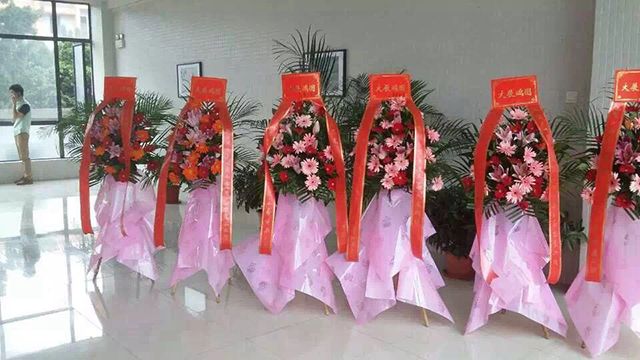 午夜福利电影在线装饰开业大吉.jpg