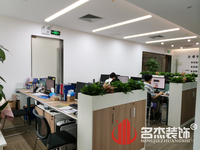 办公室午夜视频免费在线