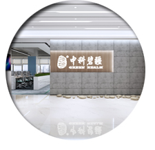 办公室午夜视频免费在线设计